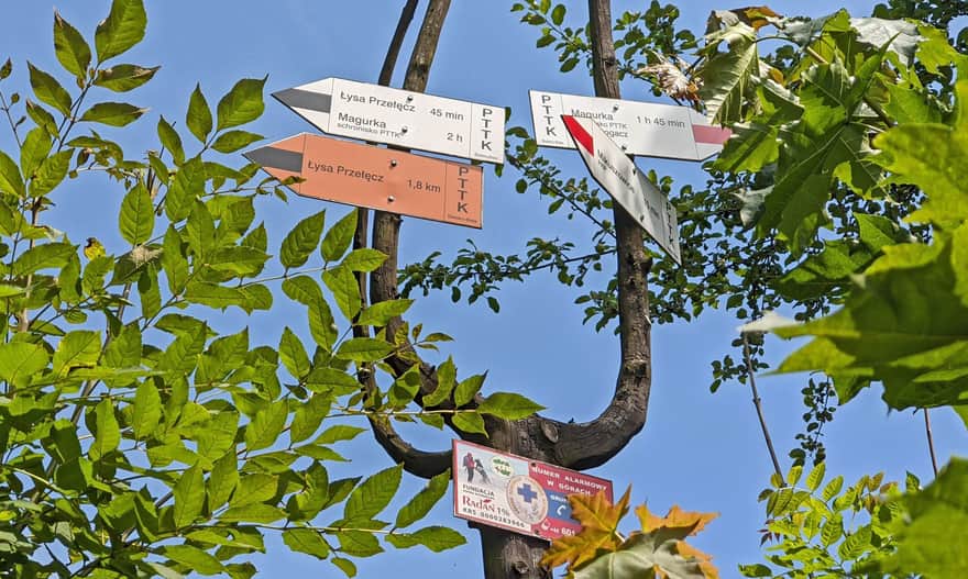 Bielsko Biała Stalownik: początek czerwonego szlaku (oraz czarnego + żółtego) na Magurkę Wilkowicką