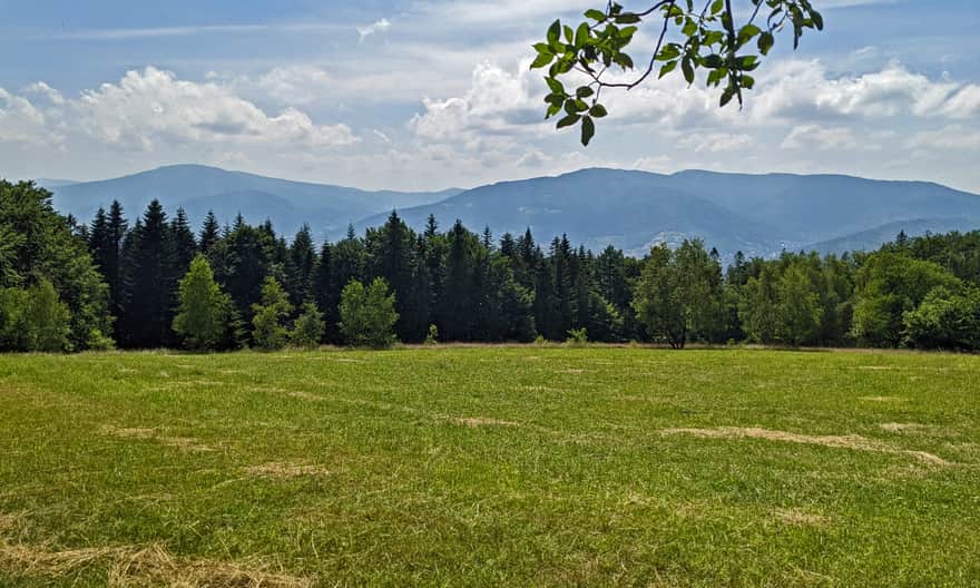Czerwony szlak na Magurkę - widok z Rogacza: Skrzyczne i Szyndzielnia