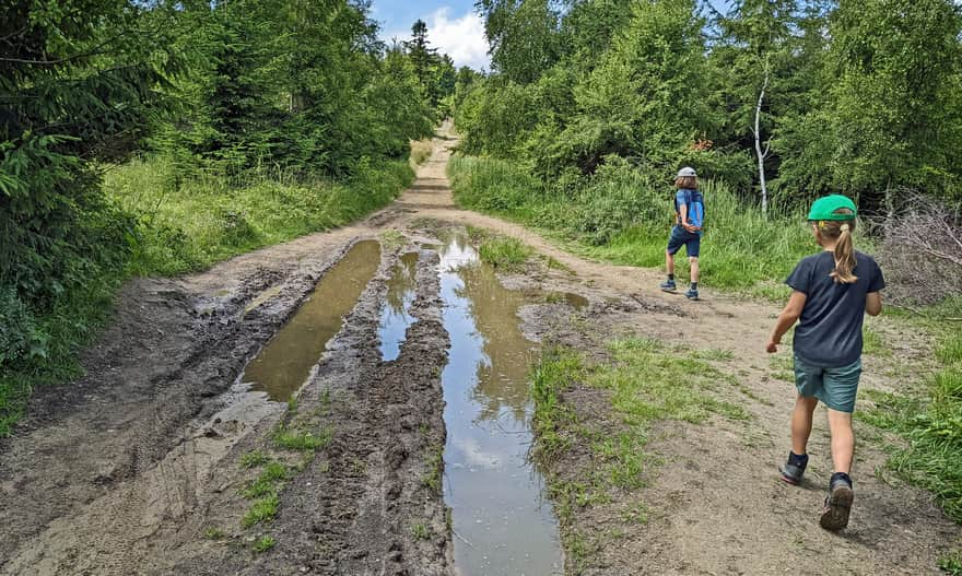 Trasa Magurka Wilkowicka - Czupel