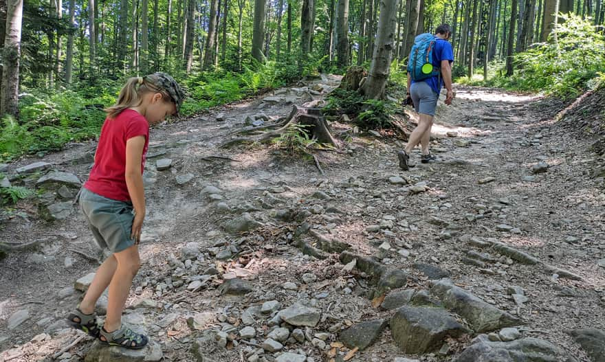 Red Trail from Kudłacze to Lubomir, ascent to Łysina