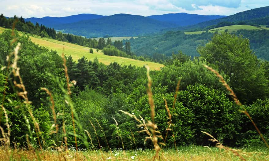 Beskid Niski - on the way to Grzywacka Góra