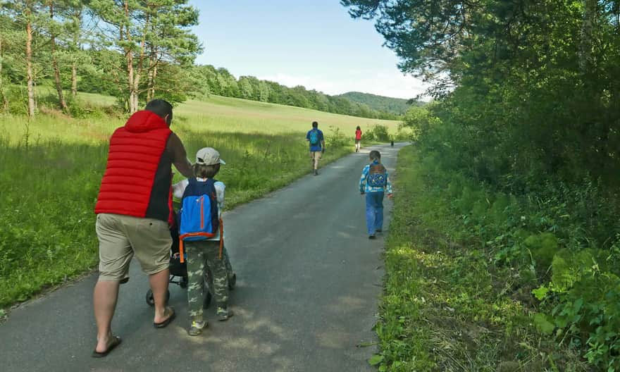 Huta Krempska - Road around Kotalnica