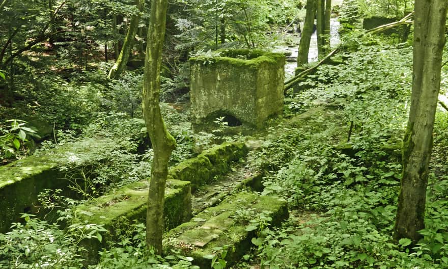 Kłopotnica Valley in Folusz, ruins of a sawmill