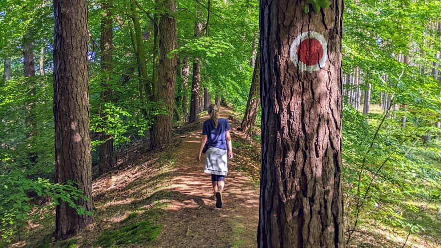 Return with red signs through Rycerski Przekop