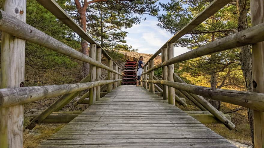 Orzechowska Dune nature trail