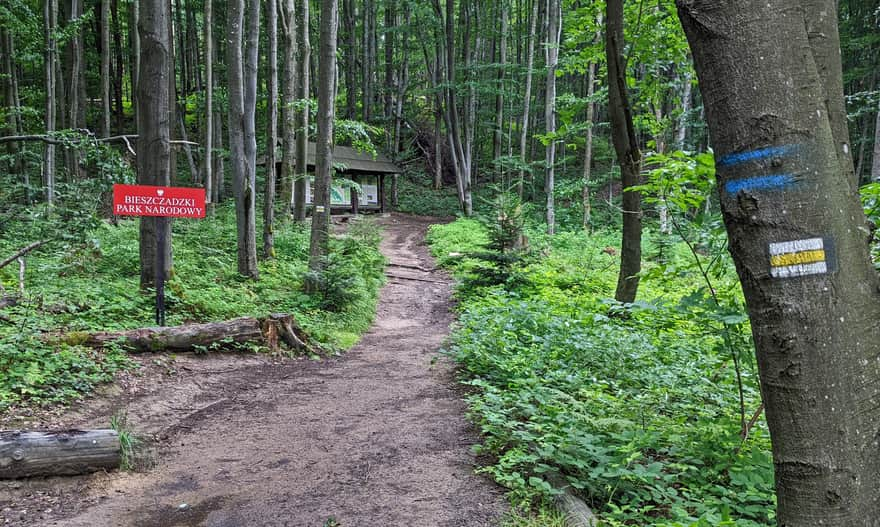 Yellow trail to Bukowe Berdo - Bieszczady National Park border