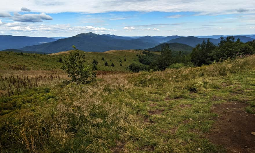 Bukowe Berdo - view of Caryńska and Wetlińska Mountain Meadows from the end of the yellow trail