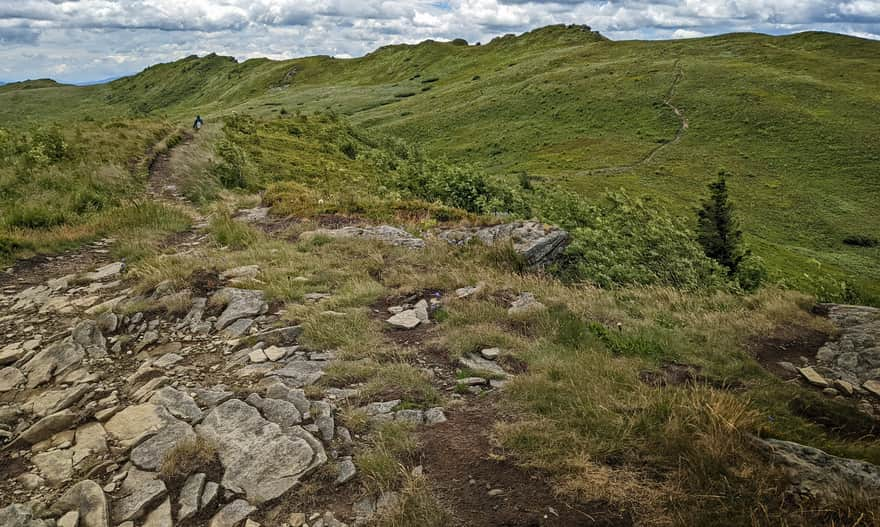 Descent from Bukowe Berdo towards Krzemień