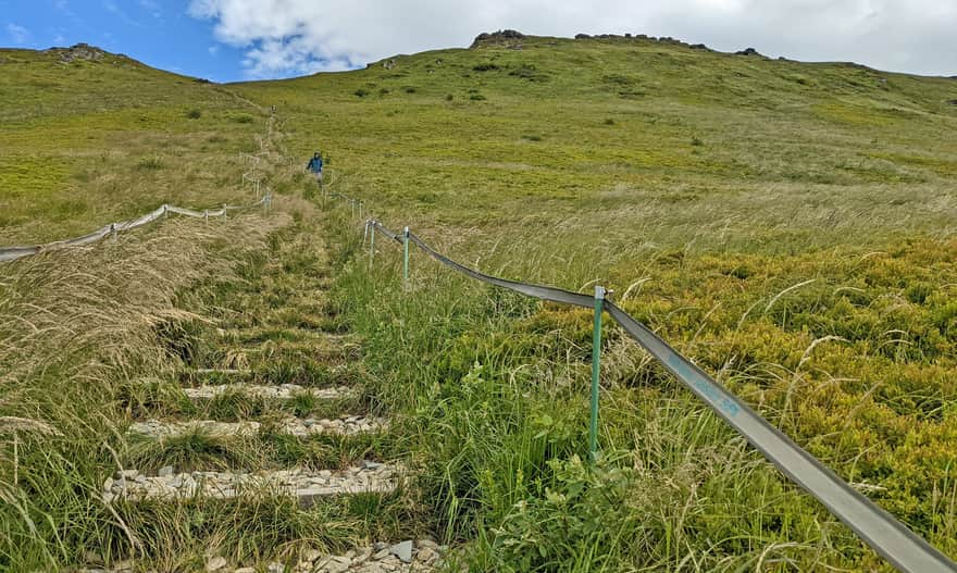 Descent from Krzemień to Goprowska Pass