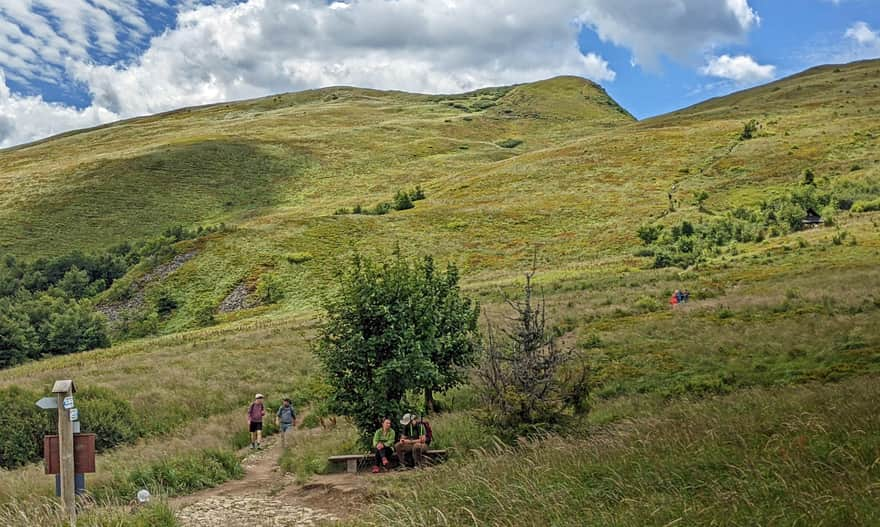 Przełęcz Goprowska - widok na Tarnicę