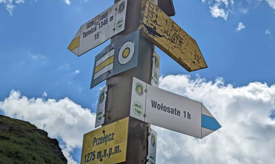 Pass below Tarnica - trail intersection