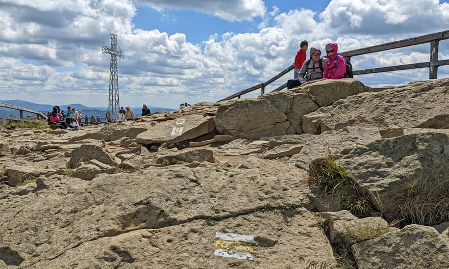 Szczyt Tarnicy, 1346 m n.p.m.