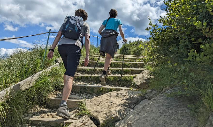 Ascent to Tarnica. The final section from the pass to the summit (yellow trail)