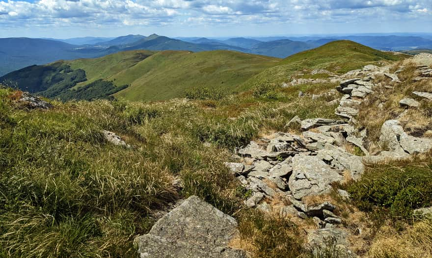 View from Tarnica to the northwest