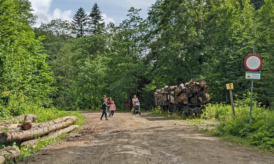 Pichurów Trail, path to Rebrow