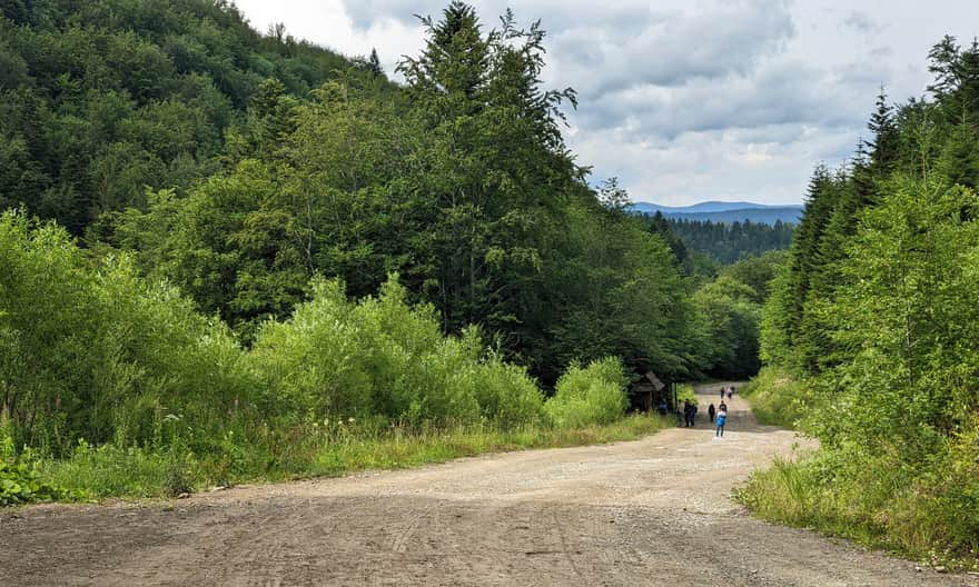 Pichurów Trail, downhill path