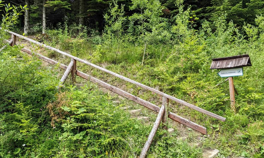 Ścieżka z punktu widokowego przy drodze do Chaty Rebrowa