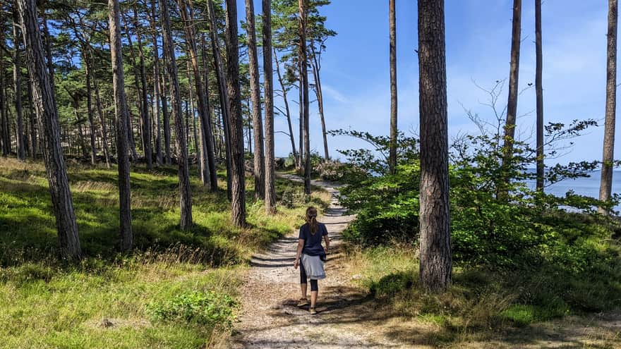 Path along the cliffs Ustka-Orzechowo