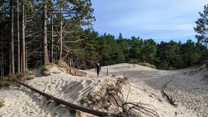 Dunes on the route to Orzechowo