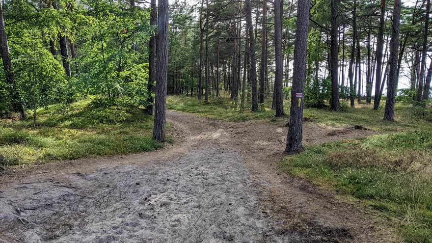 Red trail Ustka-Orzechowo sandy part