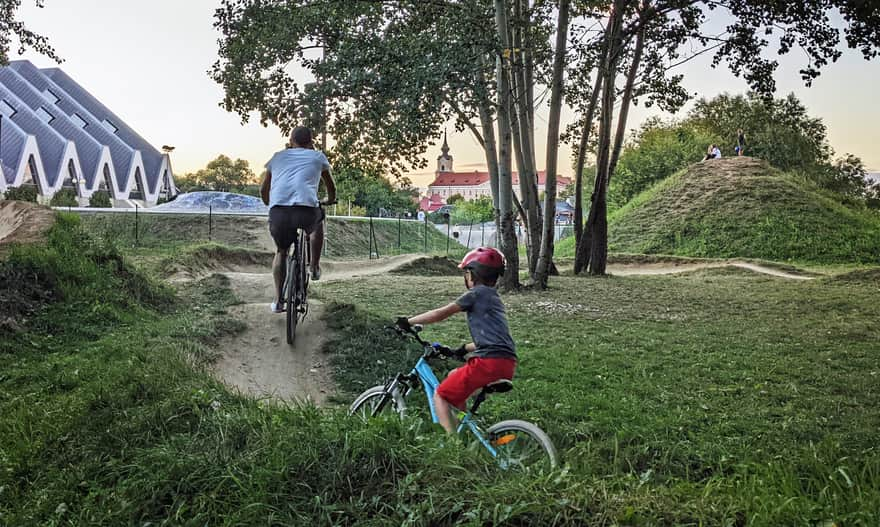 Skatepark Rzeszów dla początkujących