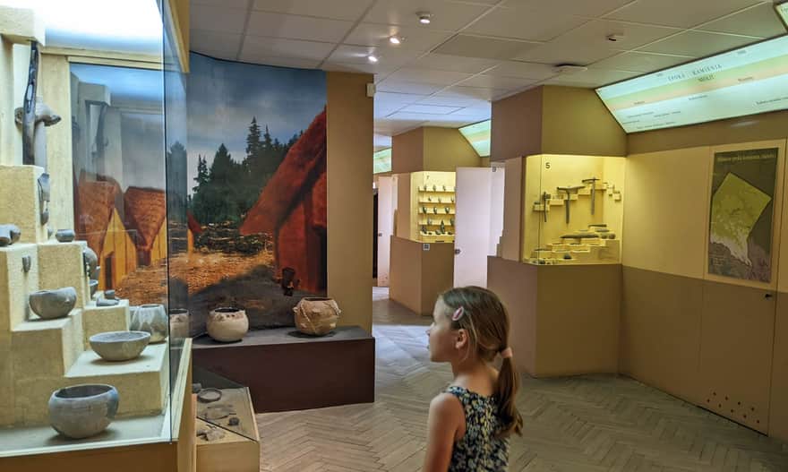 Museum in Rzeszów - archaeological exhibition
