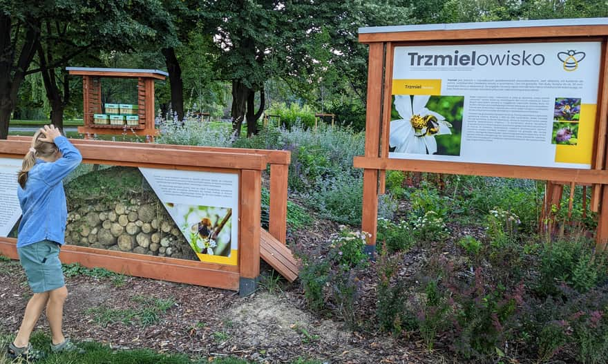 Bumblebee nests in Culture and Recreation Park along the Wisłok