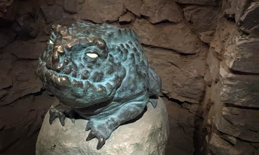 Rzeszowskie Piwnice - toad