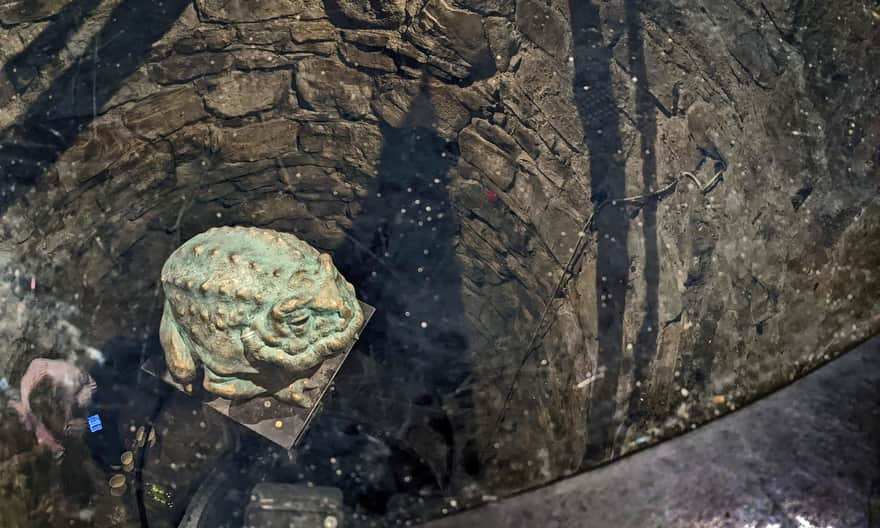 Toad in the well on Rzeszów Market Square