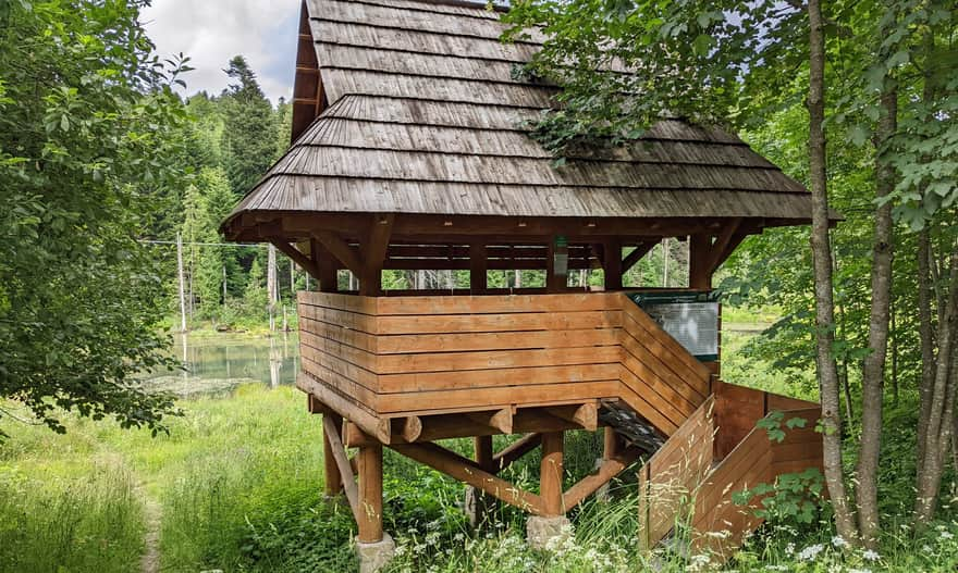 European Beaver Viewing Terrace, Muczne