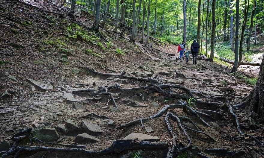 Green Trail to Mała Rawka