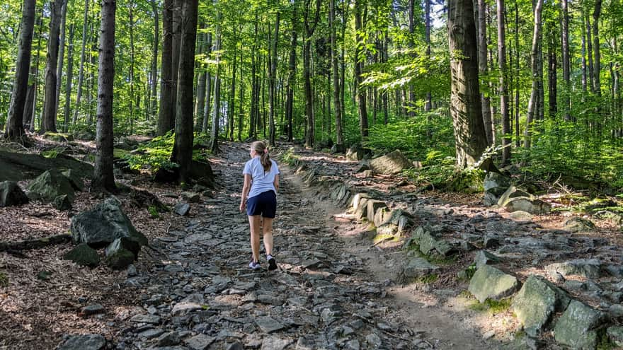 This is how the red trail to Ślęża mostly looks like