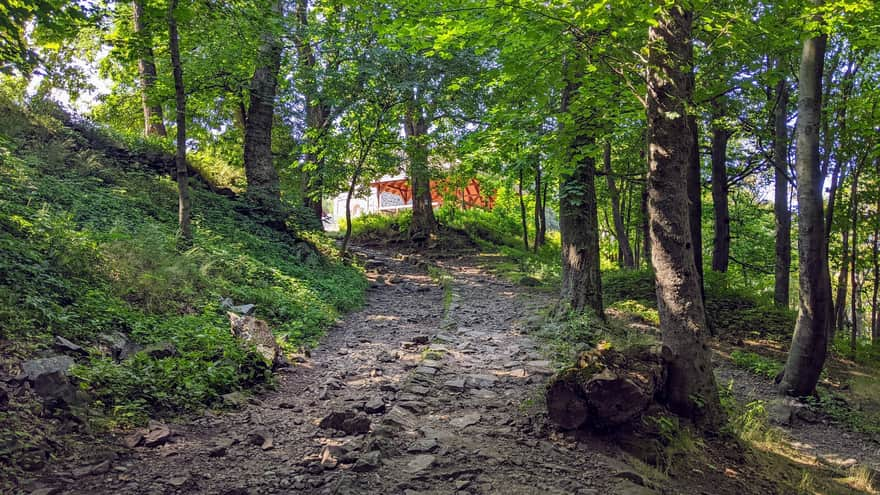 End of the trail - approaching the summit of Ślęża