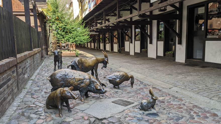 Jatki Street and the Monument to Butcher Animals in Wrocław