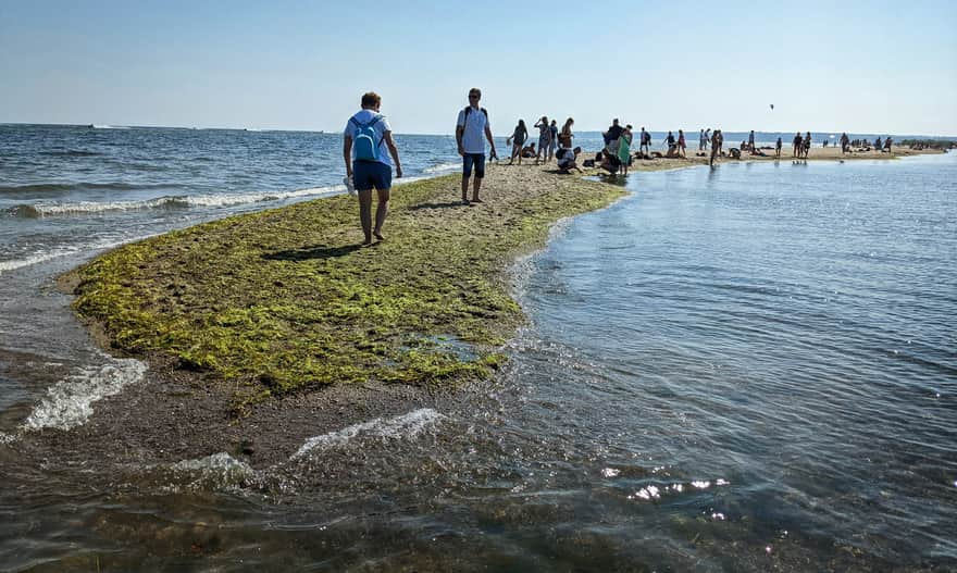 Rewa: Rewa Spit