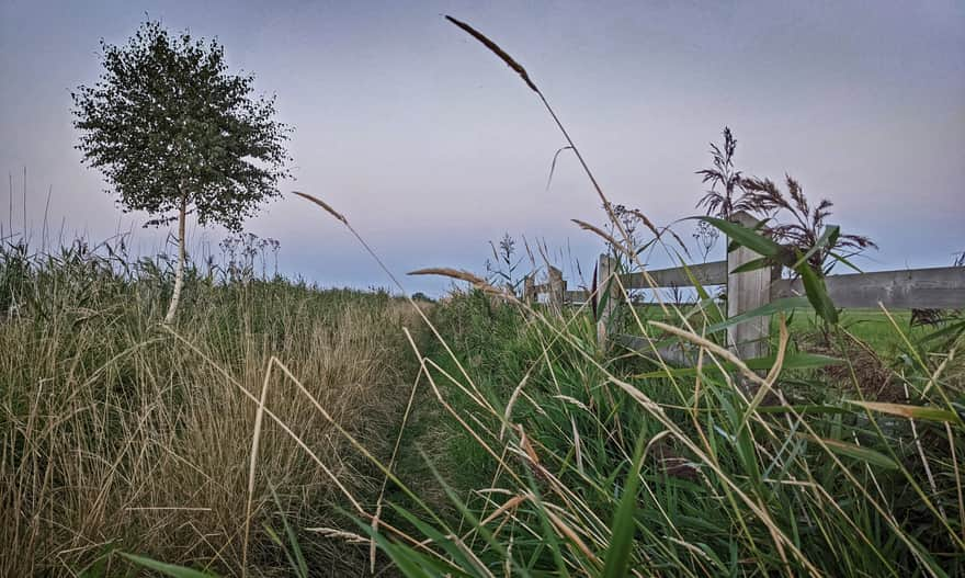 Dusk in the Beka Reserve