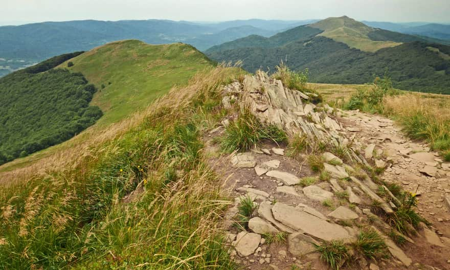 Smerek from Osadzki Wierch