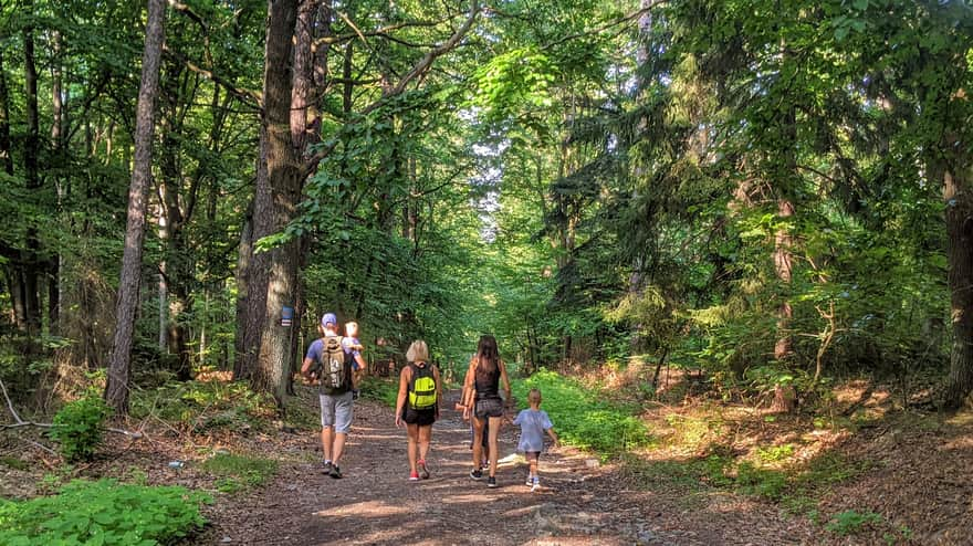 Beginning of the ascent to Ślęża on the red trail