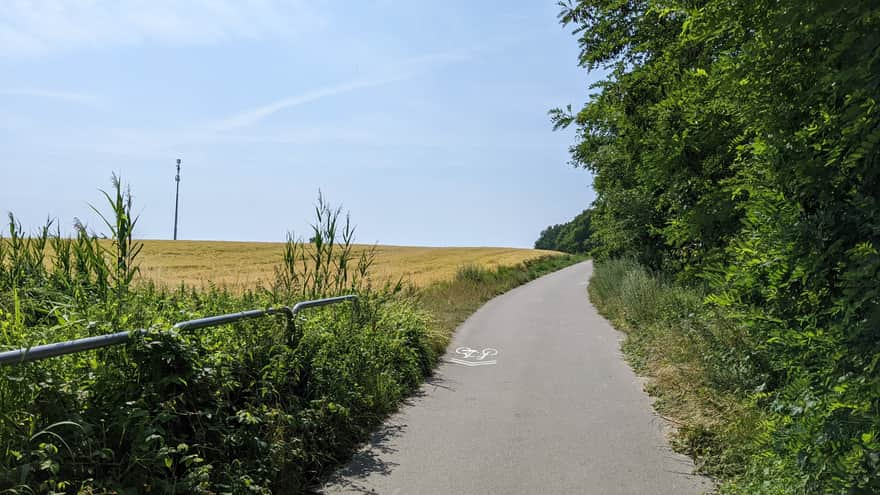 Trasa rowerowa pomiędzy Sarbinowem a Gąskami