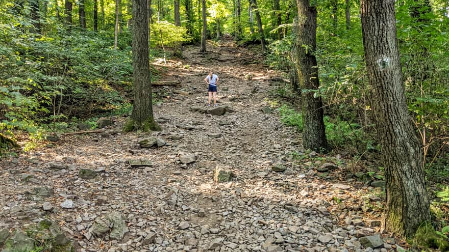 Yellow trail to Wieżyca