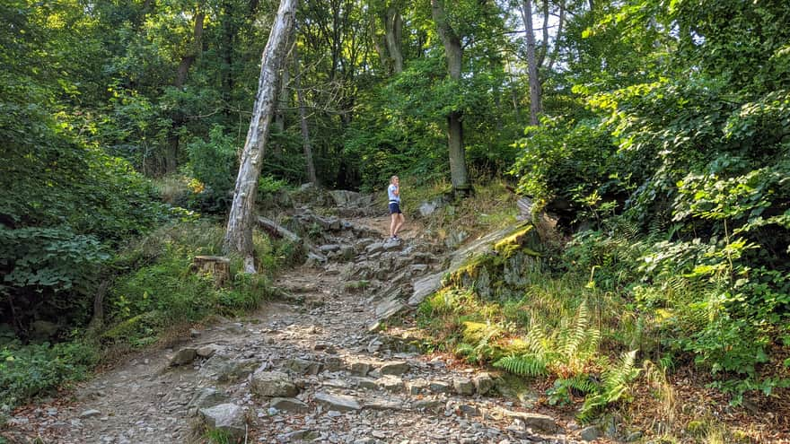 Yellow trail to Wieżyca