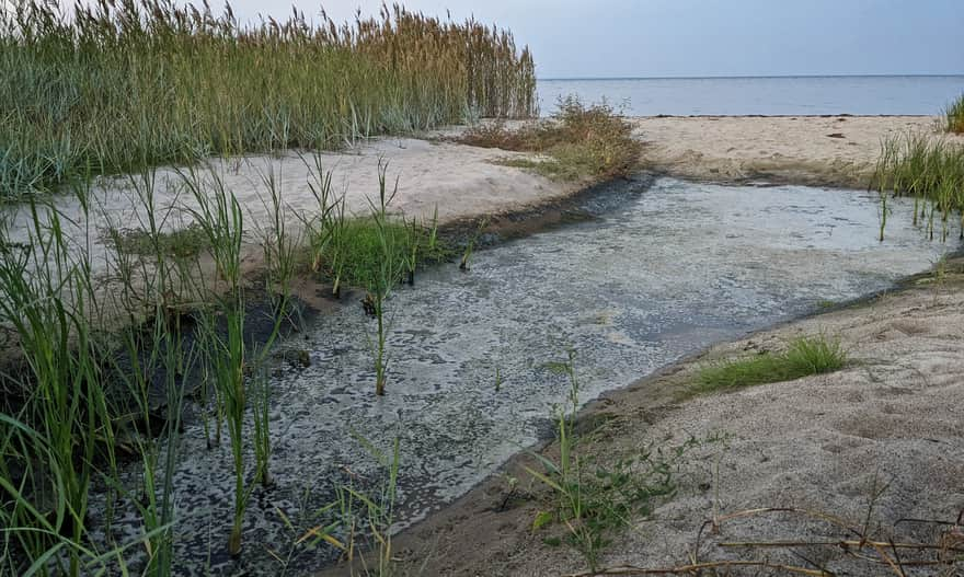 Wild beach in the Beka Reserve