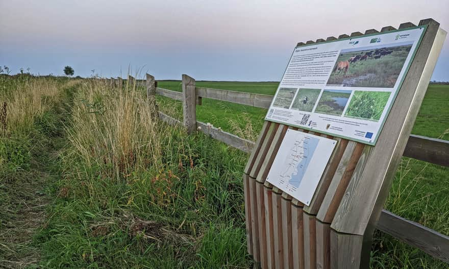 Beka Reserve - educational trail, beaten path towards the bay