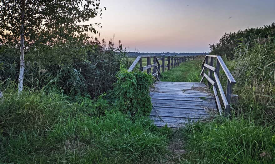 Beka Reserve - educational trail, fragment along the bay