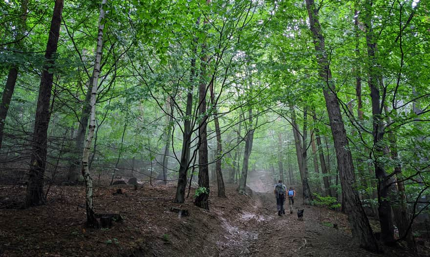 Green trail to Leskowiec