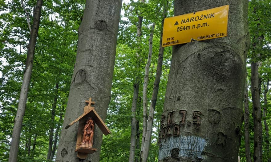 Narożnik - na zielonym szlaku na Leskowiec