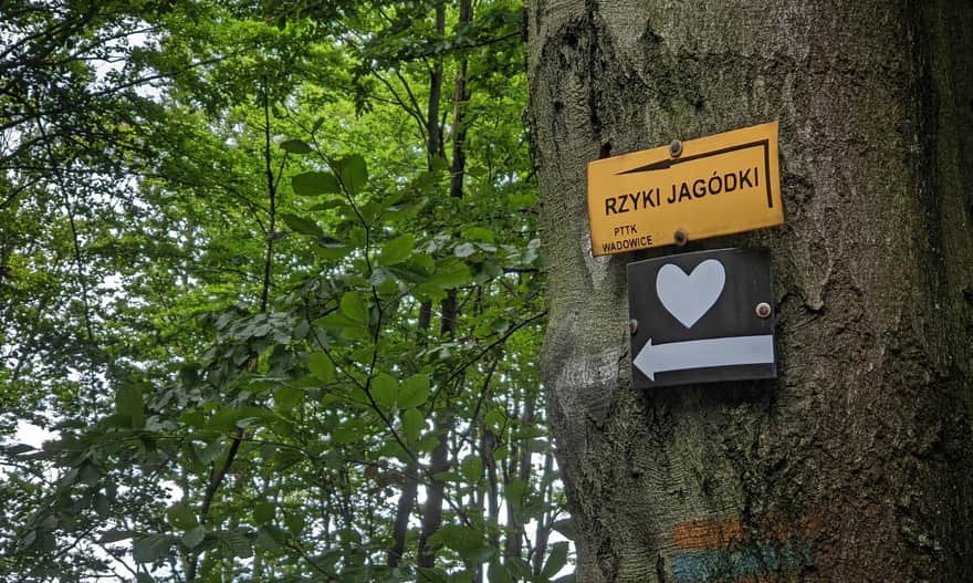 "White Hearts" Trail from Rzyki to Leskowiec