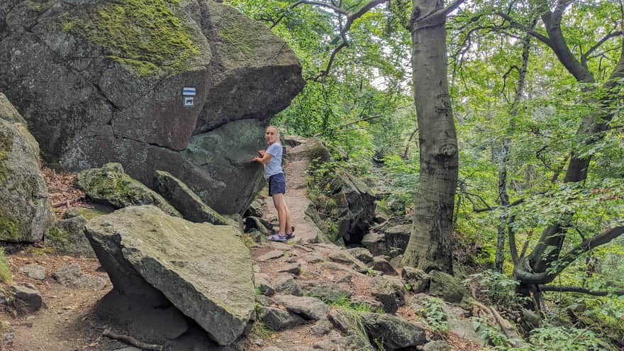 Rocks on the blue trail