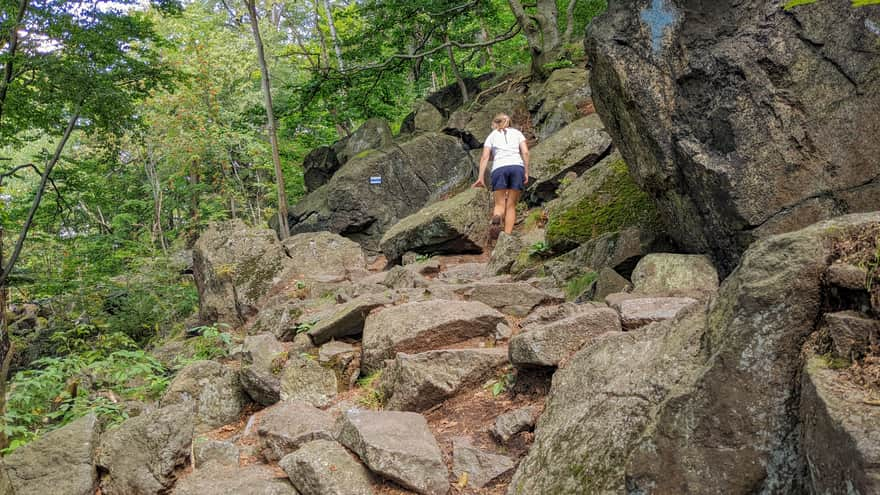 Rocks on the blue trail