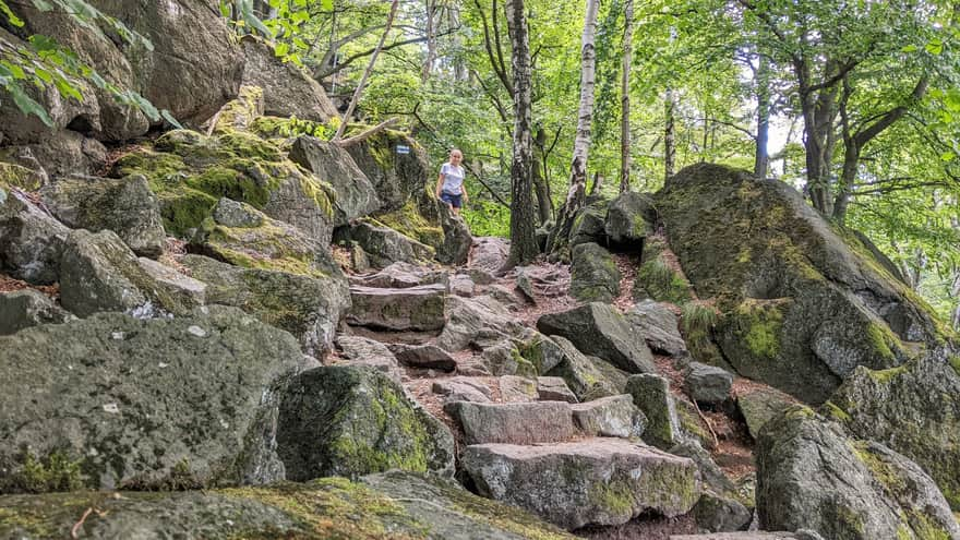 Blue trail to Ślęża